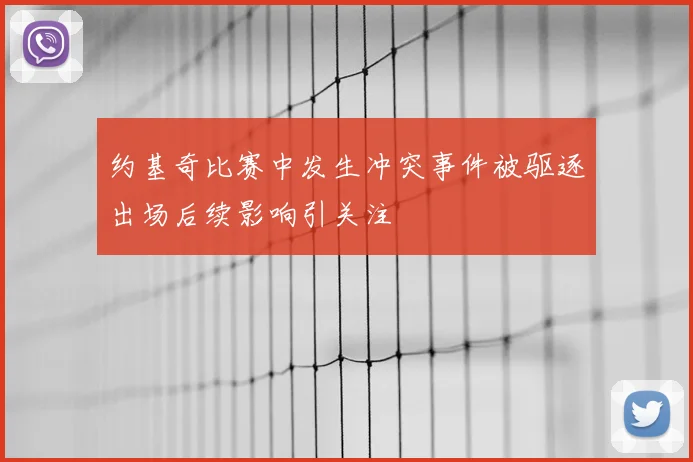 约基奇比赛中发生冲突事件被驱逐出场后续影响引关注