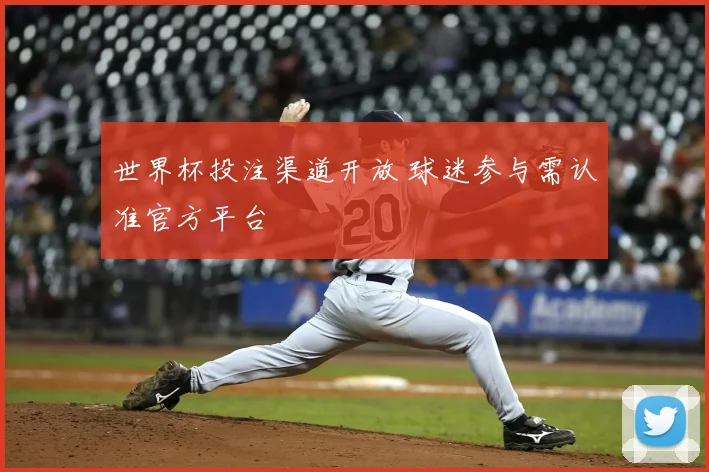 世界杯投注渠道开放 球迷参与需认准官方平台