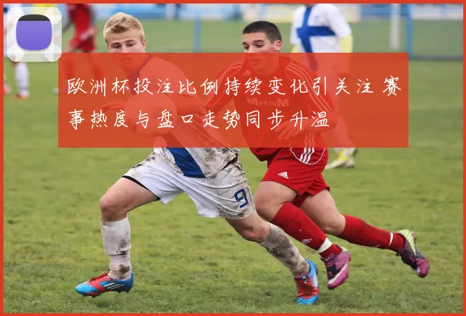 欧洲杯投注比例持续变化引关注 赛事热度与盘口走势同步升温